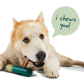 The BullySafe