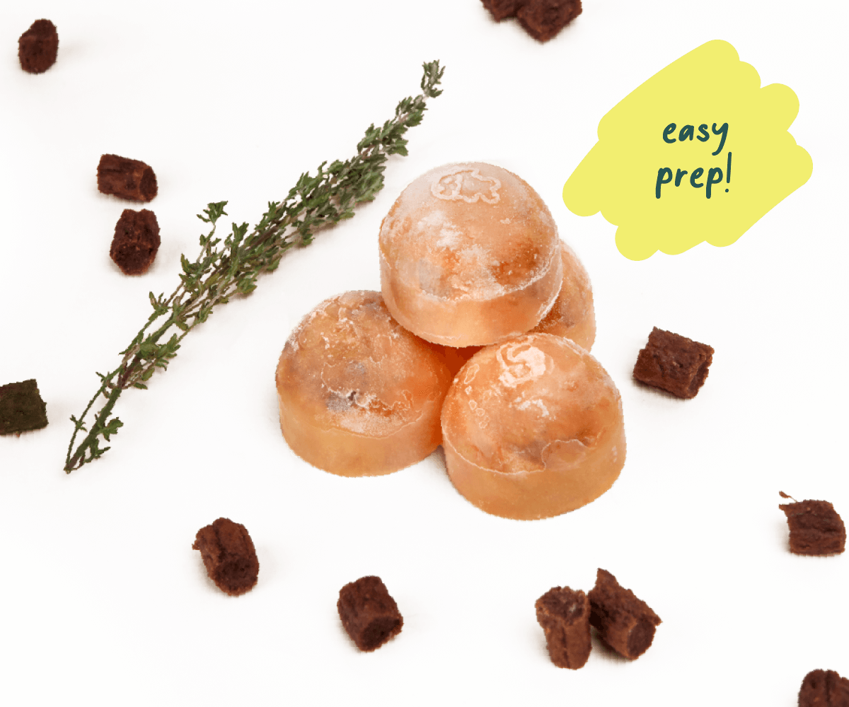 Protein Party Pops